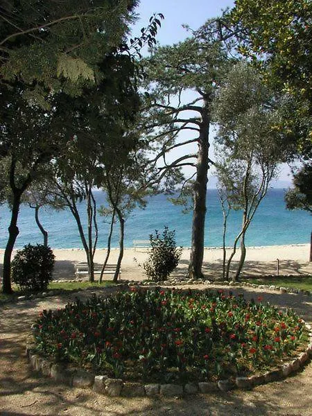 Apartments Mauro Novi Vinodolski Croatia